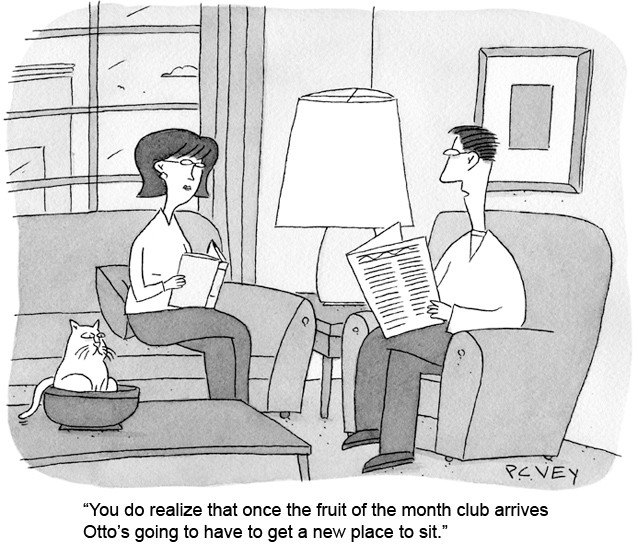 cat of the week cartoon